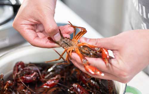 小龙虾怎么清洗和处理才简单省力又干净？
