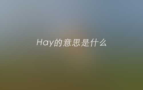 Hay的意思是什么？Hay的翻译及发音怎么读？