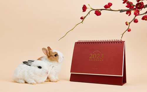 2023年属什么生肖？2023年属兔生肖有什么说法？