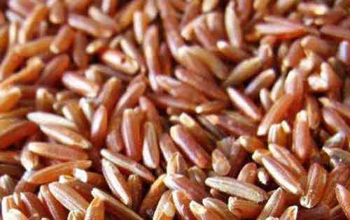 糙米是什么米？糙米的优点和缺点是什么？