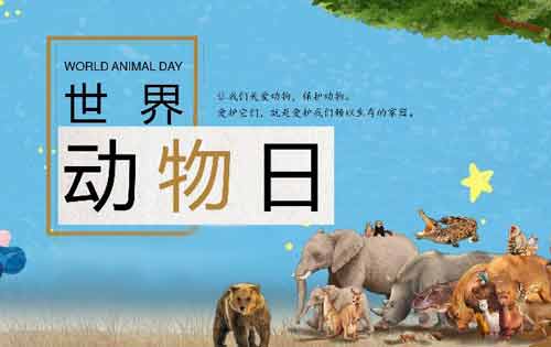世界动物日是哪一天？世界动物日的意义是什么？