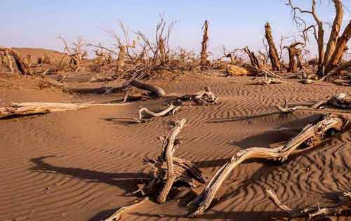 世界防治荒漠化和干旱日是哪一天？有什么意义？