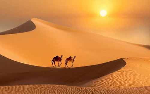 阿拉伯故事《两个朋友在沙漠》